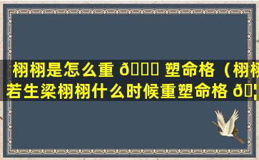 栩栩是怎么重 🐒 塑命格（栩栩若生梁栩栩什么时候重塑命格 🦄 ）